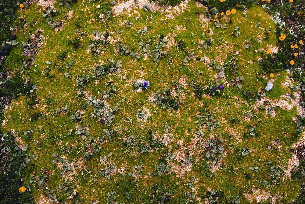 Worth Work Words tweet media