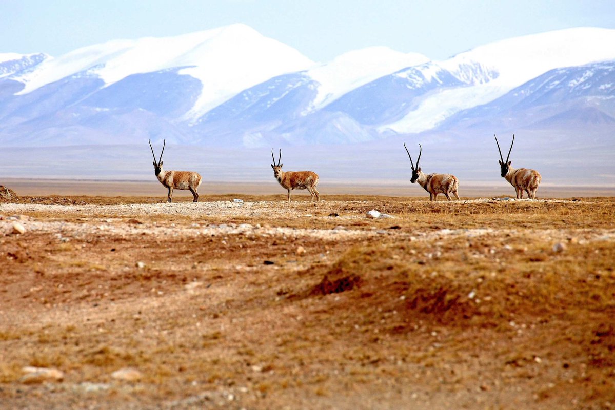 Worth Work Words tweet media