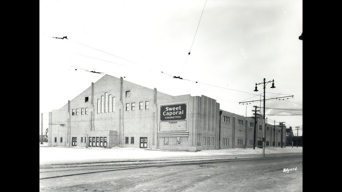 Will 🍁 tweet media