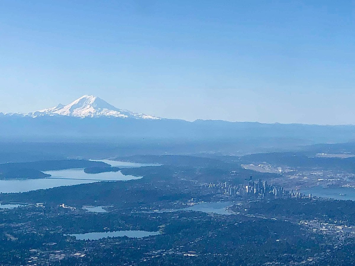 Cyberpunk Sense 👑 tweet media