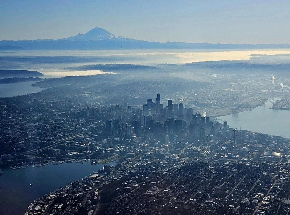 Cyberpunk Sense 👑 tweet media