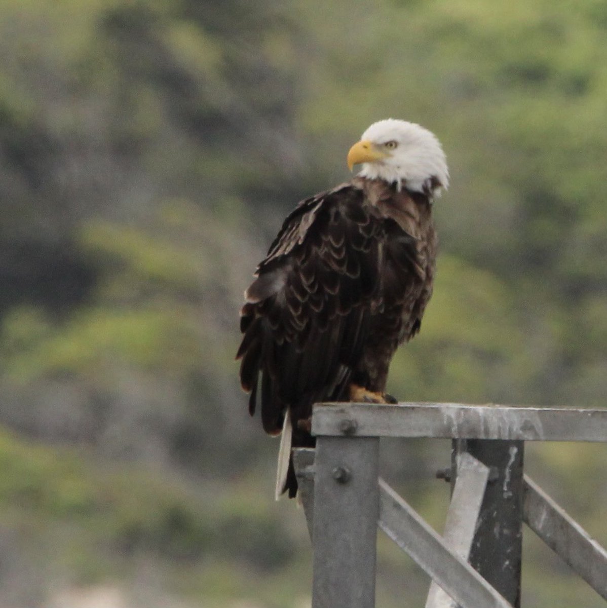 sjm8, PA-C tweet media