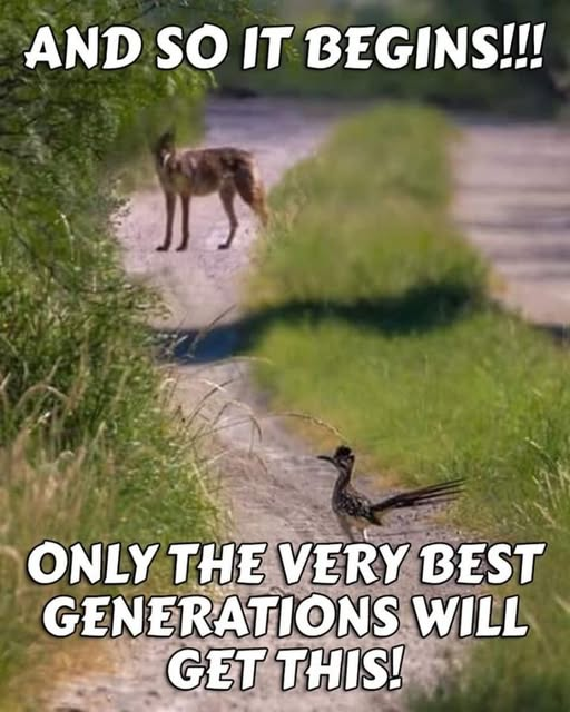 Edward A., MD, PhD tweet media