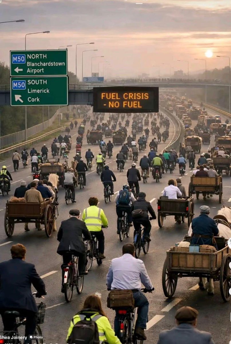 Leo Forde 💙💚 tweet media