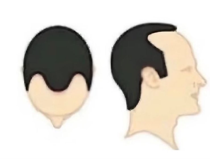 YourFavBuilder👾 tweet media