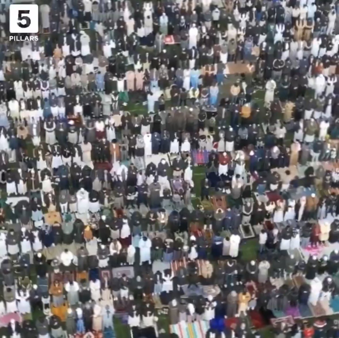 Chris Rose tweet media