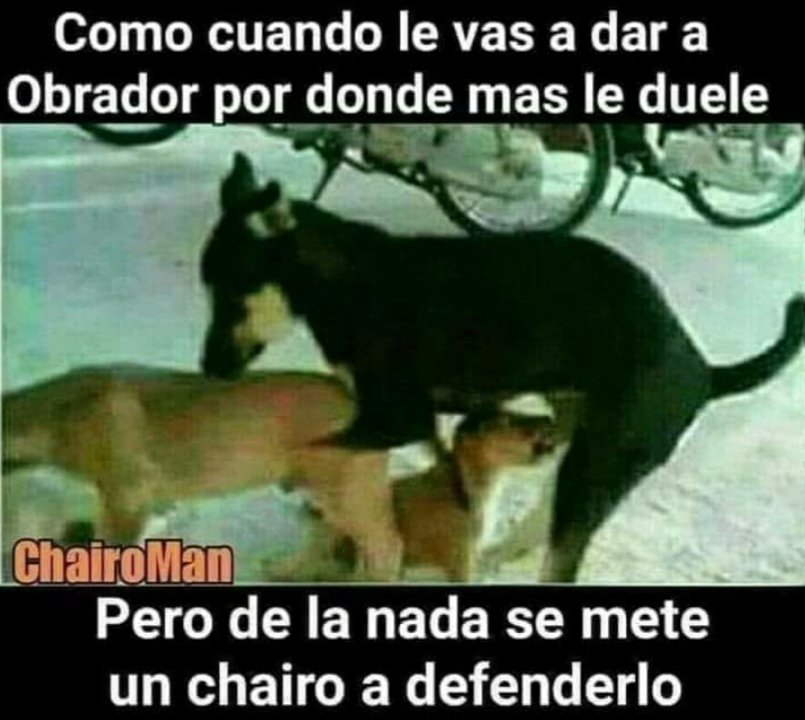 André Kass tweet media