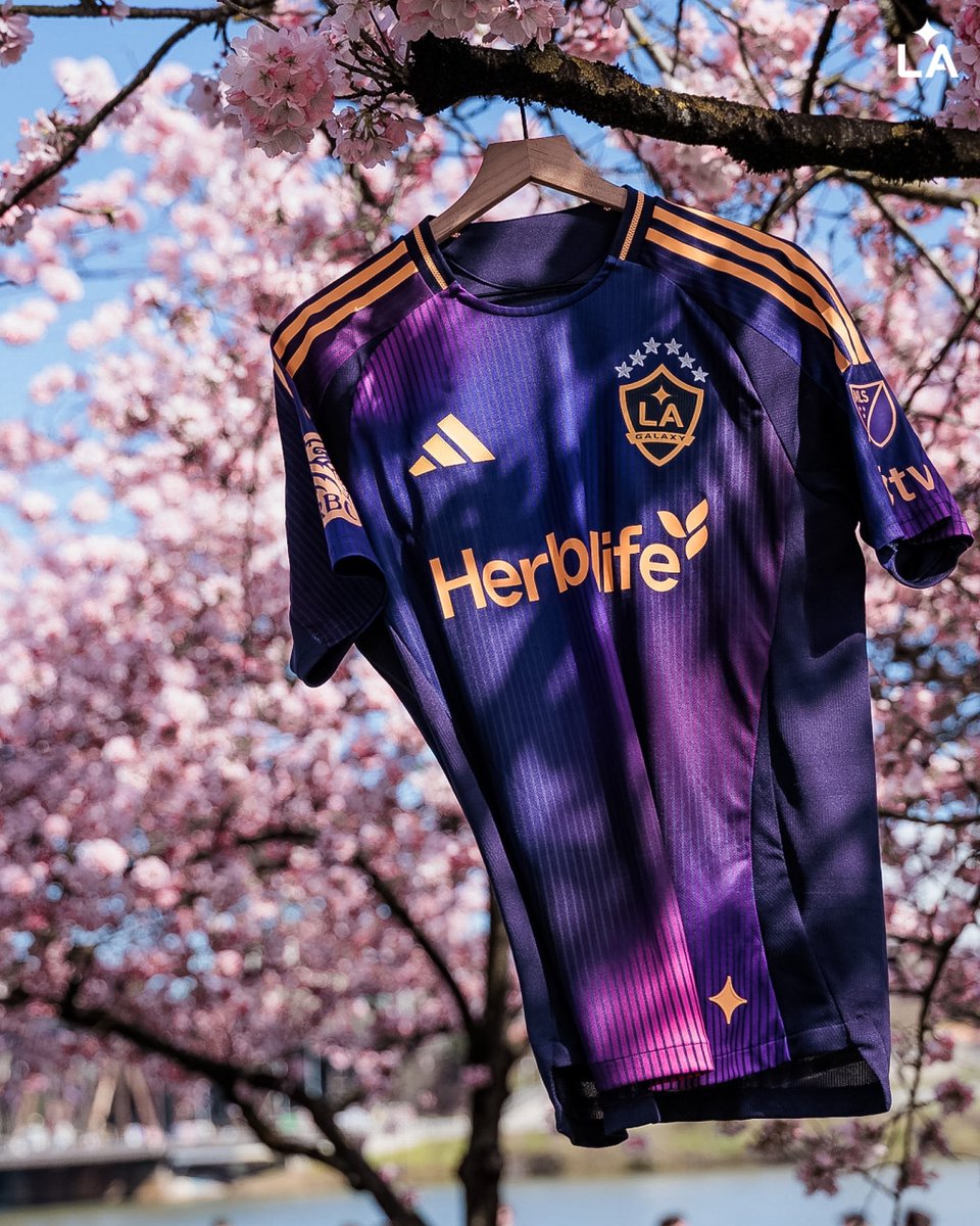 LA Galaxy tweet media