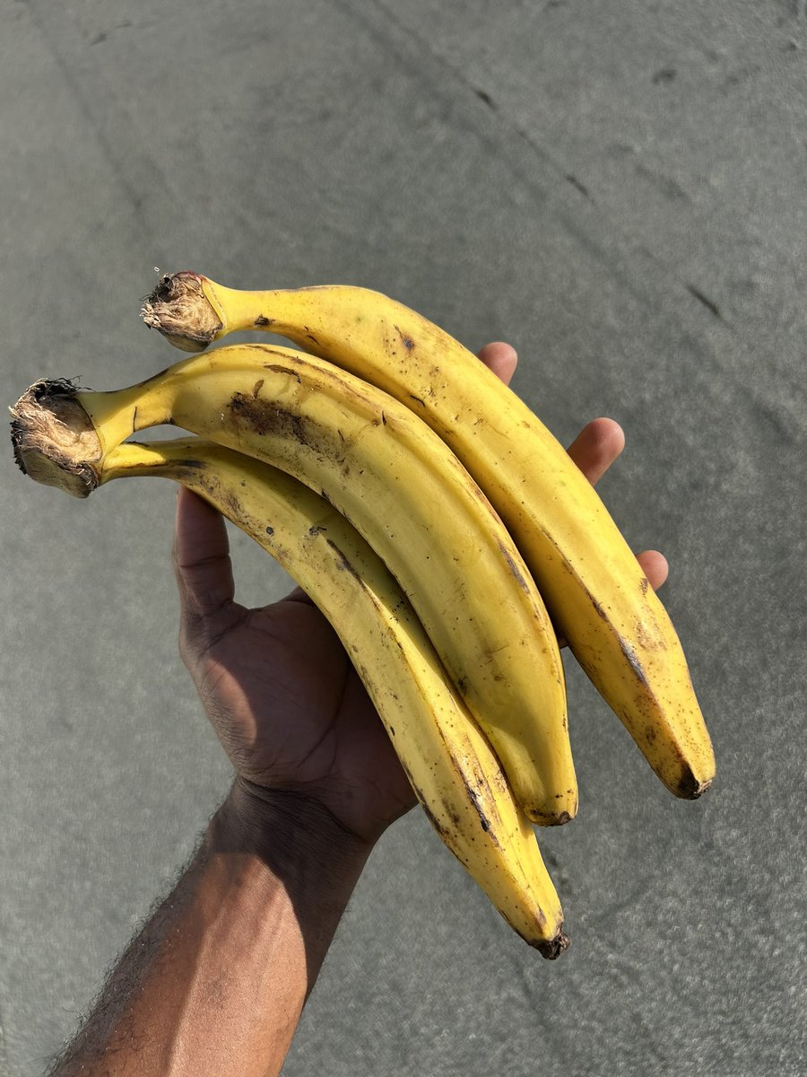 21 🇯🇲 tweet media