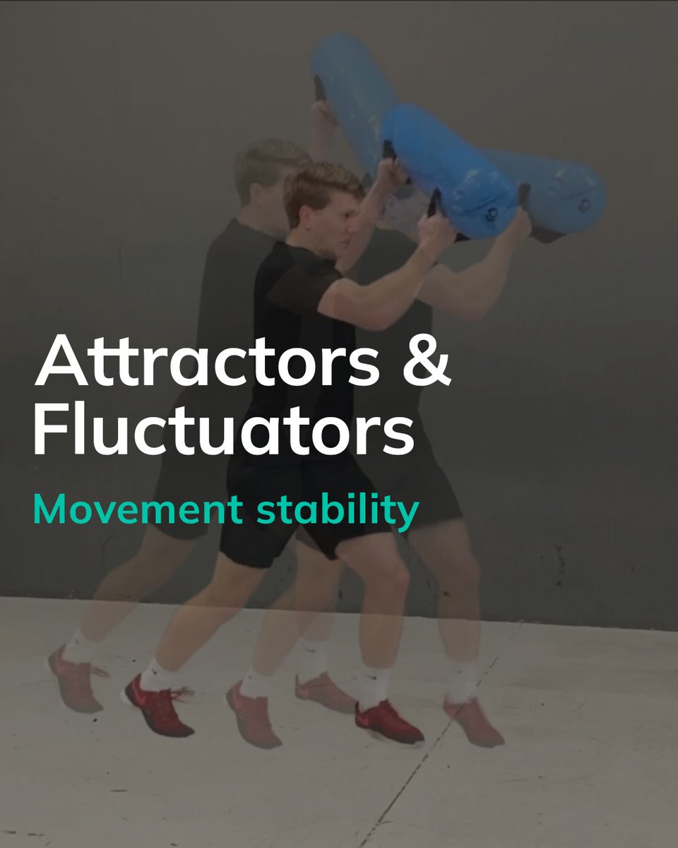 Frans Bosch Systems tweet media