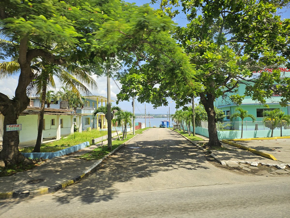 the world is a vampire tweet media