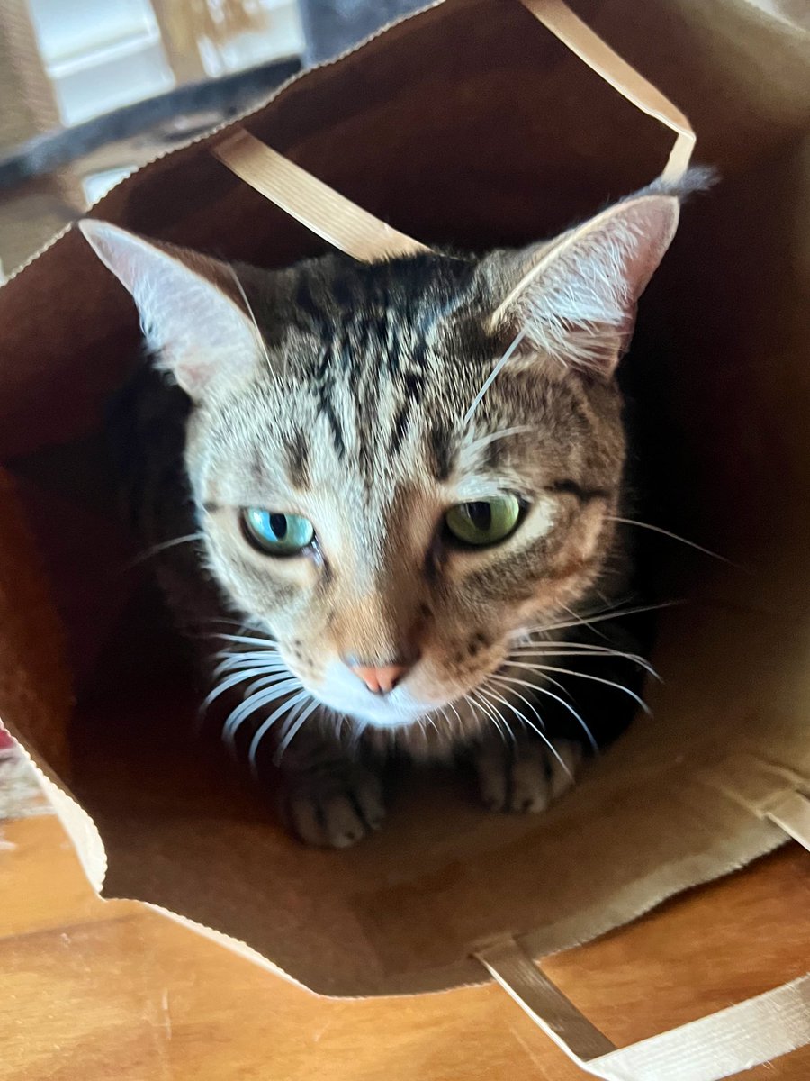 Dave Krantz tweet media