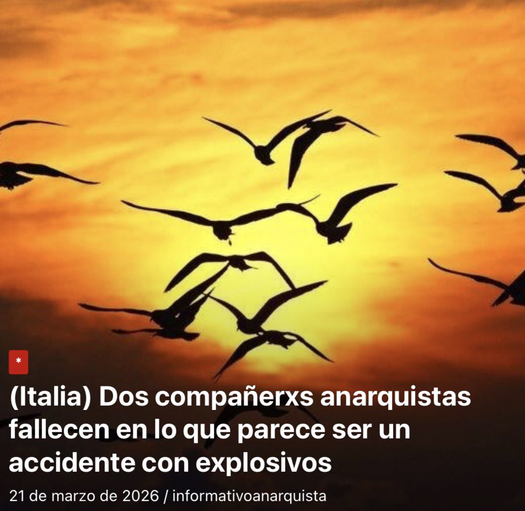 même pas peur ... tweet media