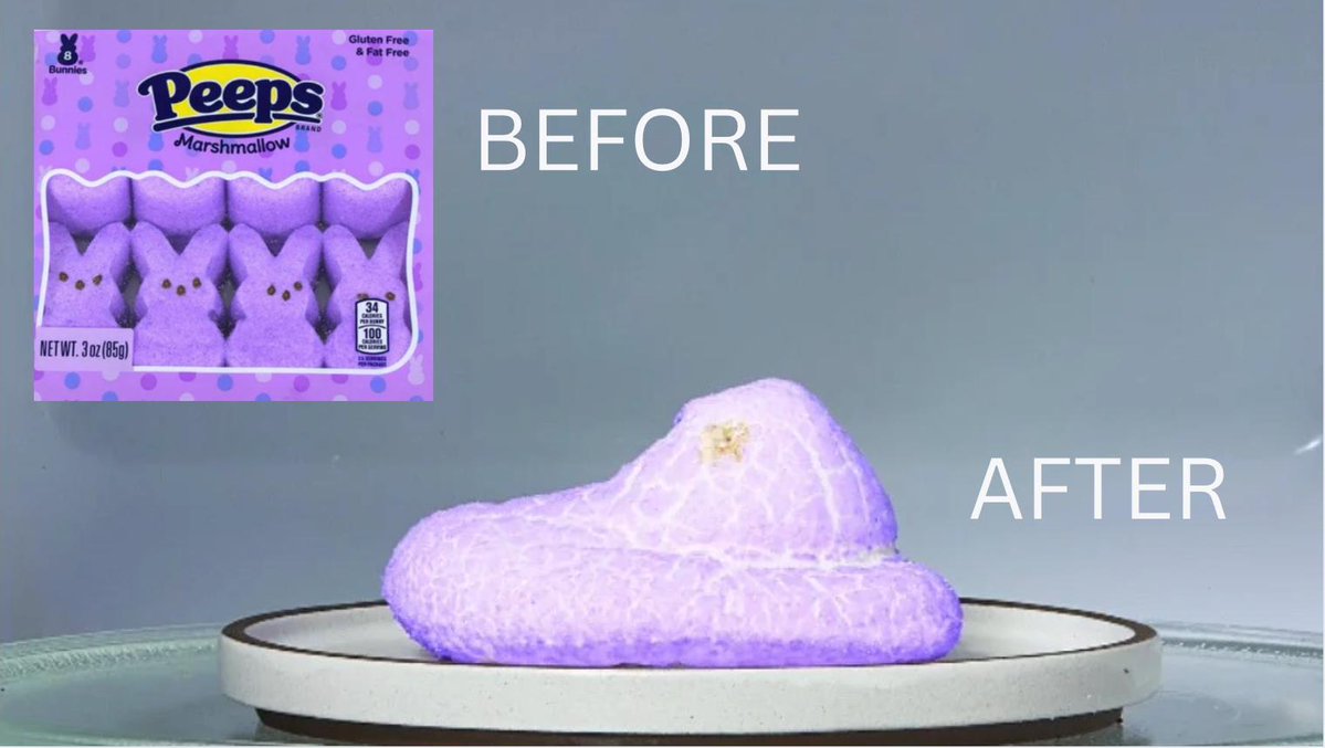 bruno 🏳️⚧️ tweet media