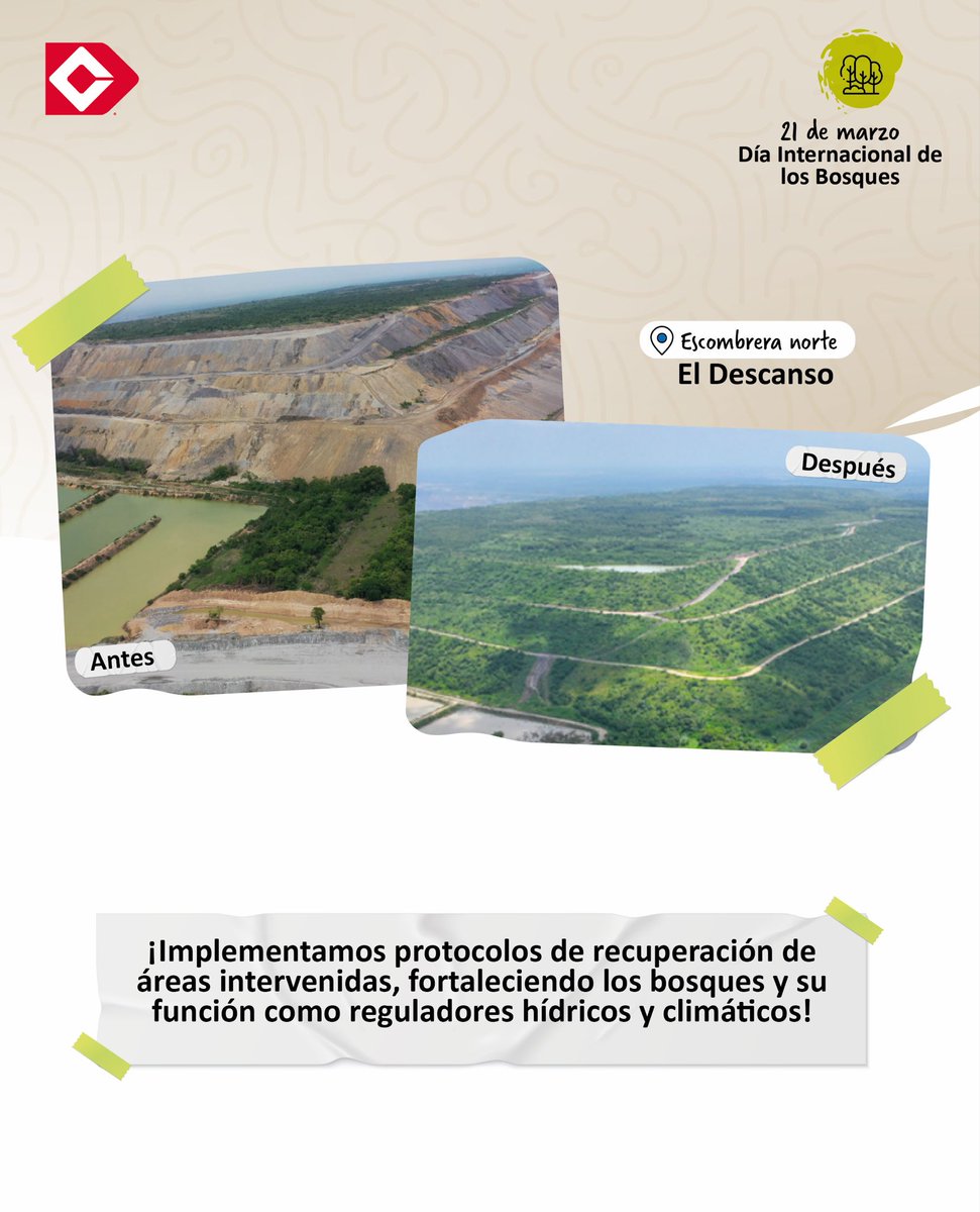DrummondLtdCo's tweet photo. En el #DíaInternacionalDeLosBosques compartimos cómo implementamos protocolos de recuperación de áreas intervenidas, promoviendo el establecimiento de cobertura vegetal y el fortalecimiento de los bosques como reguladores hídricos y climáticos.
#ImpactoPositivo #Sostenibilidad https://t.co/qbxOdKJjan