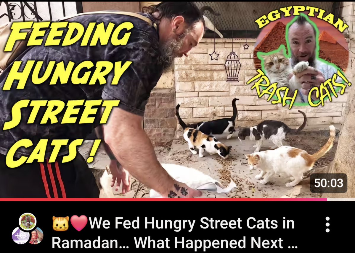 TheLandOfChem's tweet image. NEW EPISODE OF EGYPTIAN TRASH CATS JUST DROPPED!

EPIC REUNION OF YOUR FAVORITE FUR BALLS

THE RETURN OF MY GREY BOY OPIE

AND A WALK WITH OUR FAT STREET DOG LUCKY!

GO SHOW SOME LOVE, SUBSCRIBE AND WATCH NOW!

LINK IN THE COMMENTS BELOW