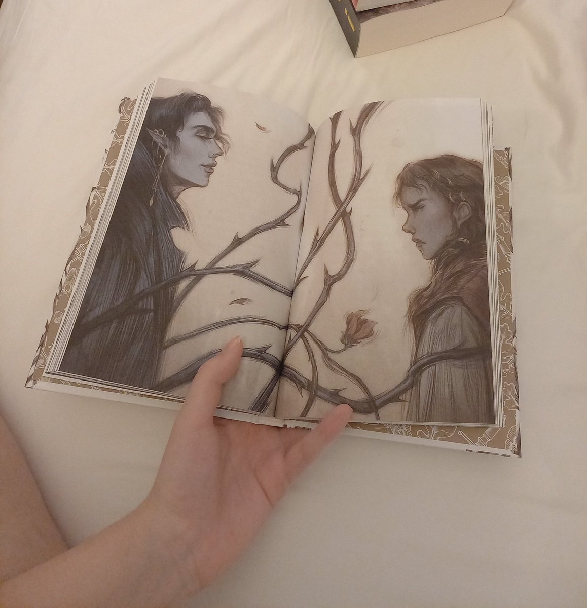 cohen, evie ⭑ tweet media