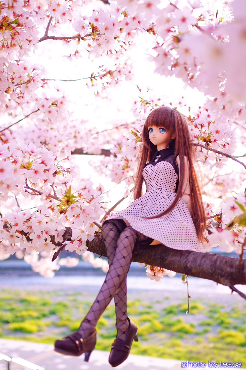 てぃか tweet media