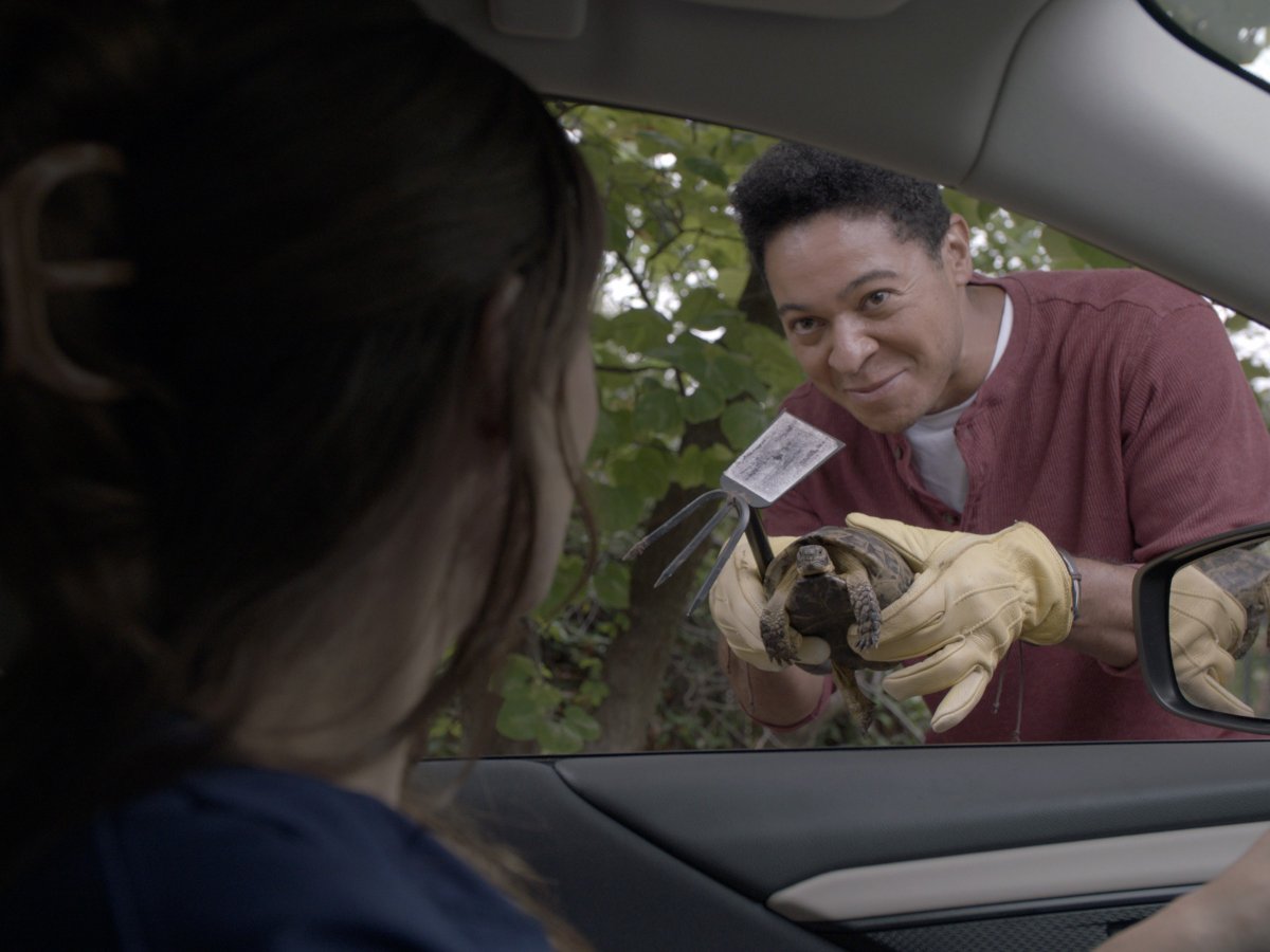 OKFilmMusic's tweet photo. Shot on-location in the film friendly communities of Oklahoma City and Edmond, “Who Could Kill A Sweet Old Lady” features an all-star Oklahoma cast and premieres TOMORROW March 22 on Lifetime Television and will be available to stream the following day. #OkieFilm https://t.co/m8T8HLhVUv