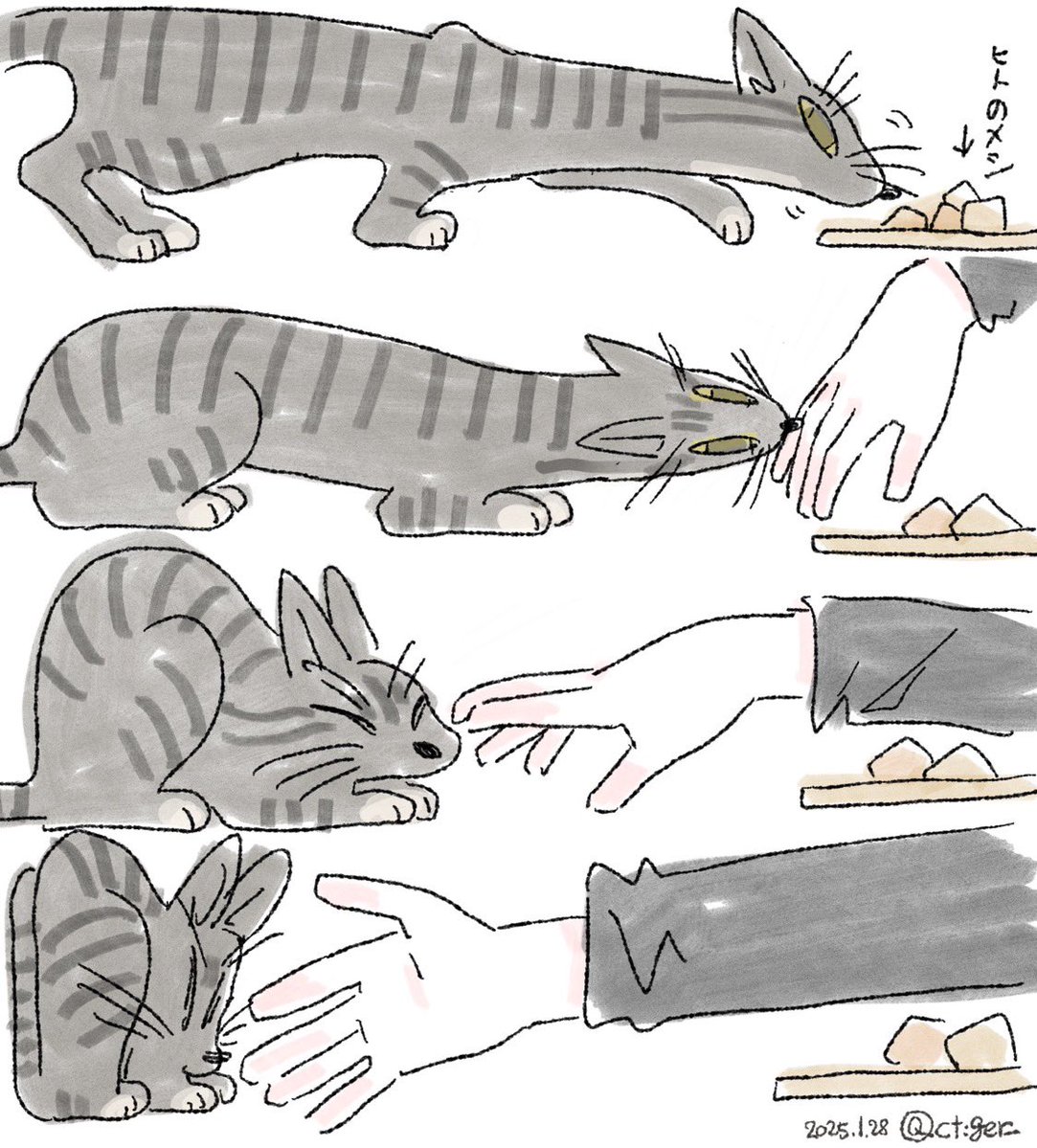 PmAmTraveller tweet media