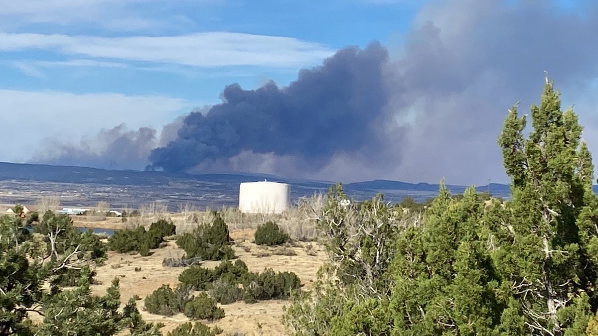 Micki Trost tweet media