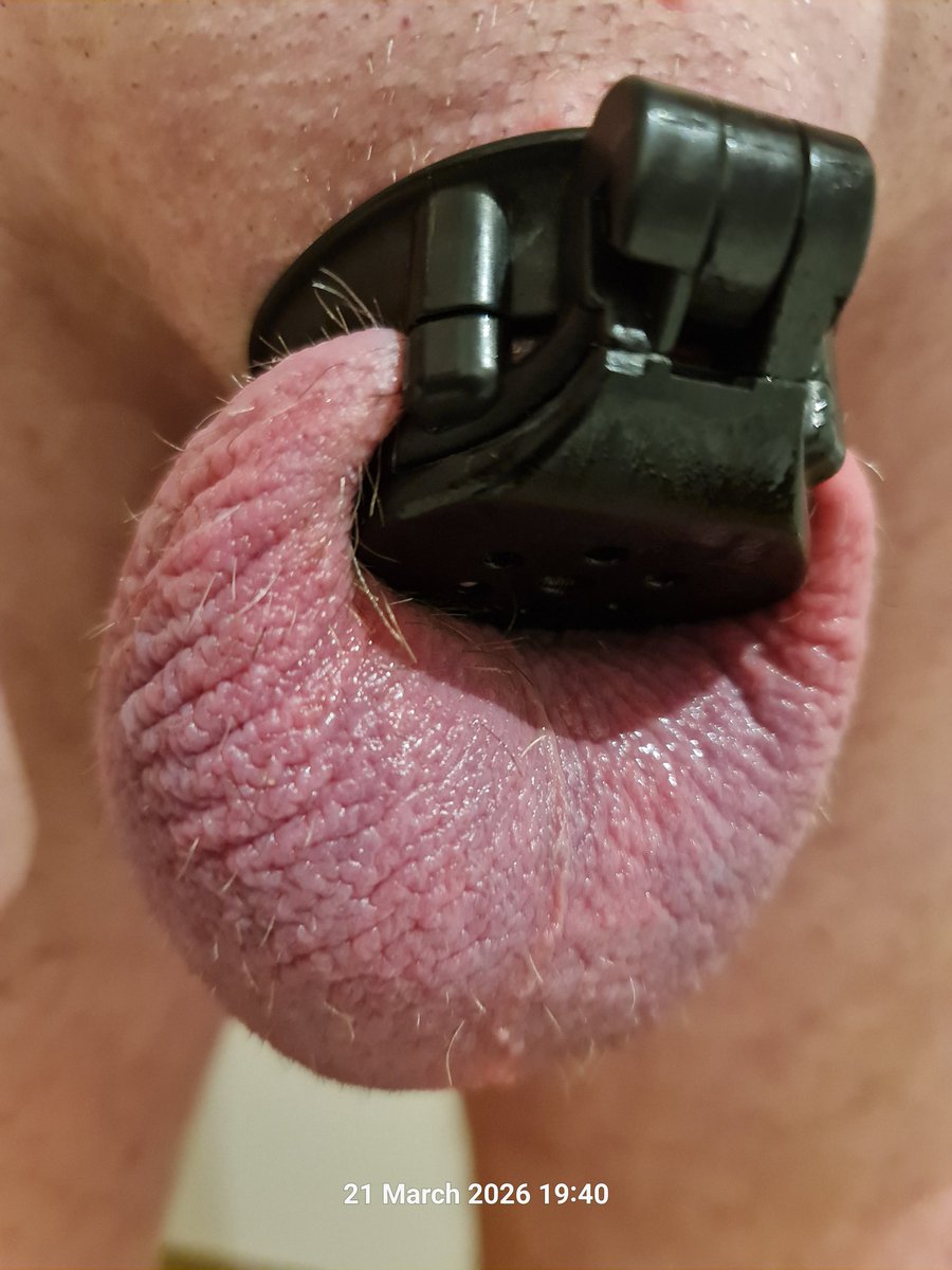 Rubbermuff tweet media