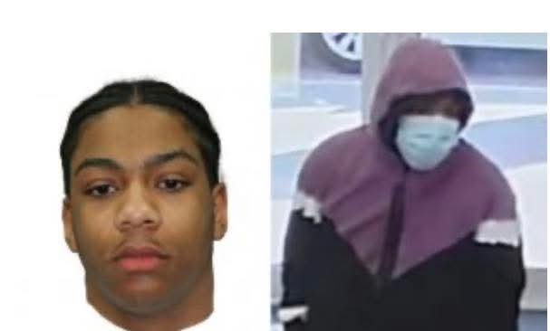 Olena Rohoza tweet media