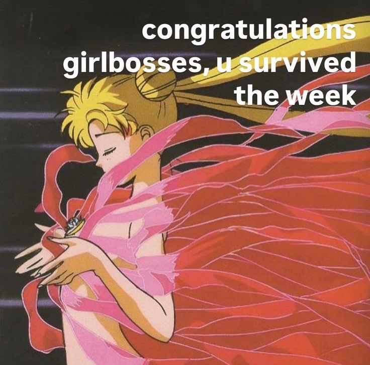 daily sailor moon tweet media