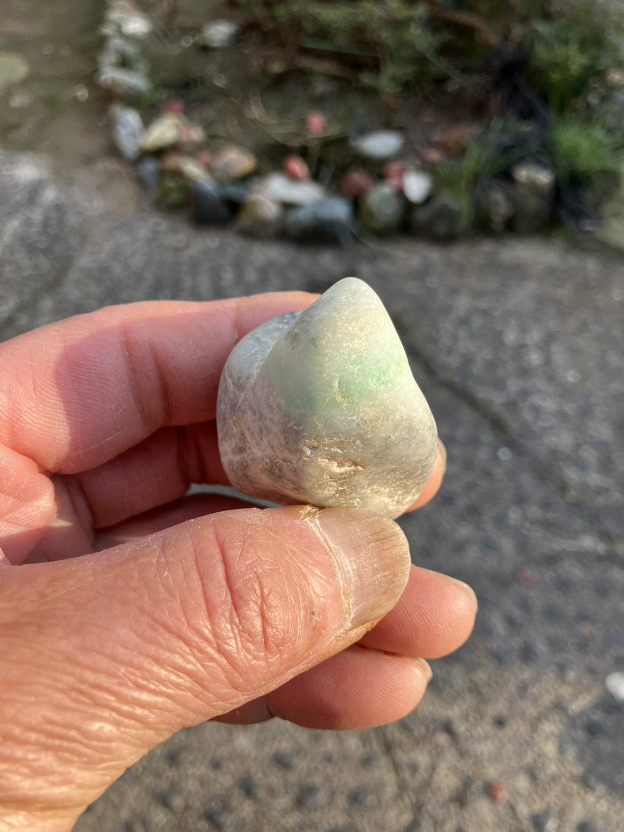 翡翠とベンツ大好き tweet media