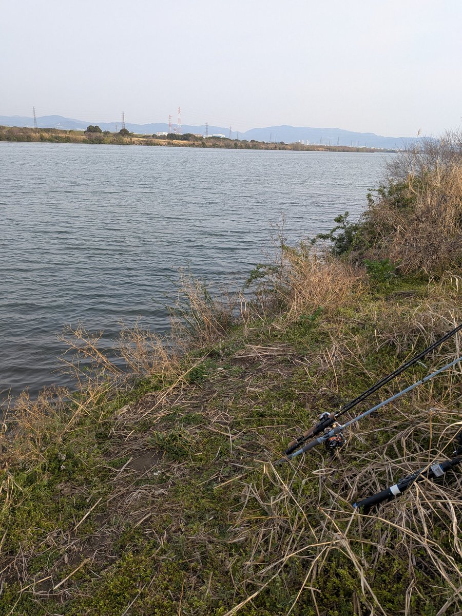 だいぱん tweet media