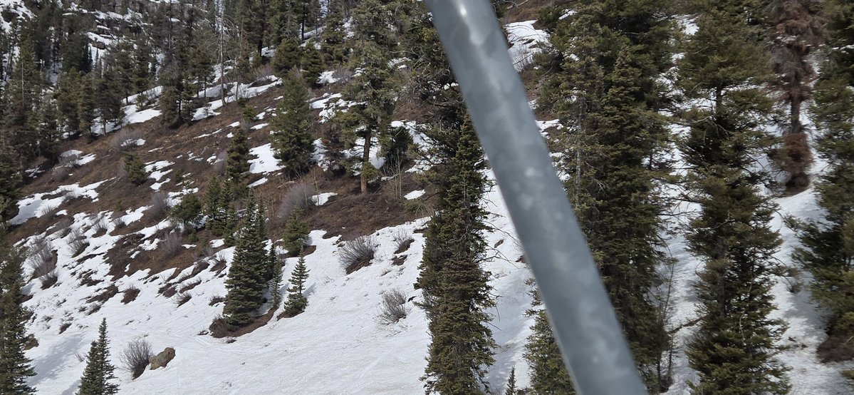 Nathan Ashcraft tweet media