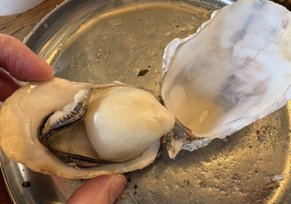 ともけつ tweet media