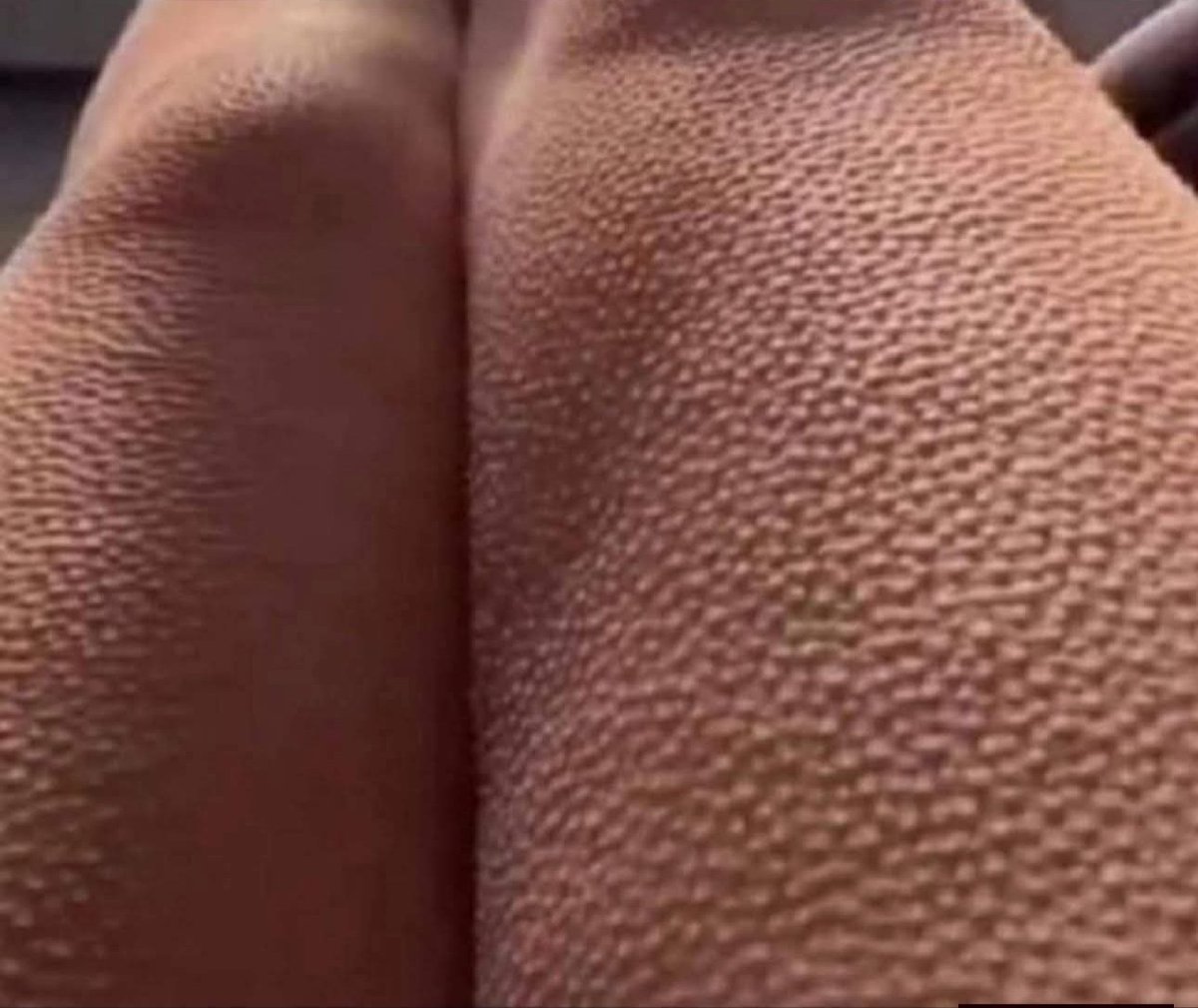 Marcela Quintero tweet media