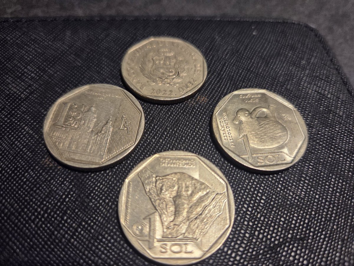 Ariel Mesch tweet media