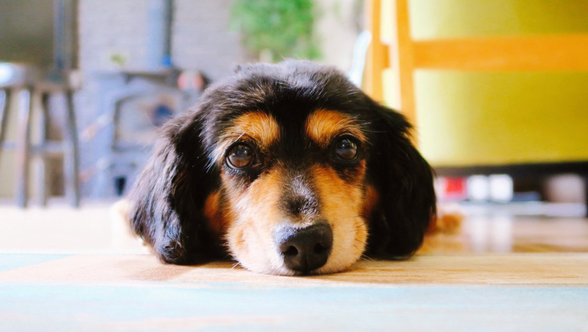 ES4/RAYNEX⚡️ tweet media