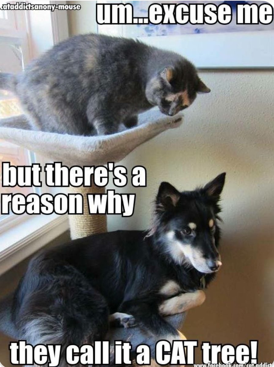 Jonathan🌊🌊🌊#VoteBlue2026 #RESIST🇺🇸 #BLUE🌊 tweet media