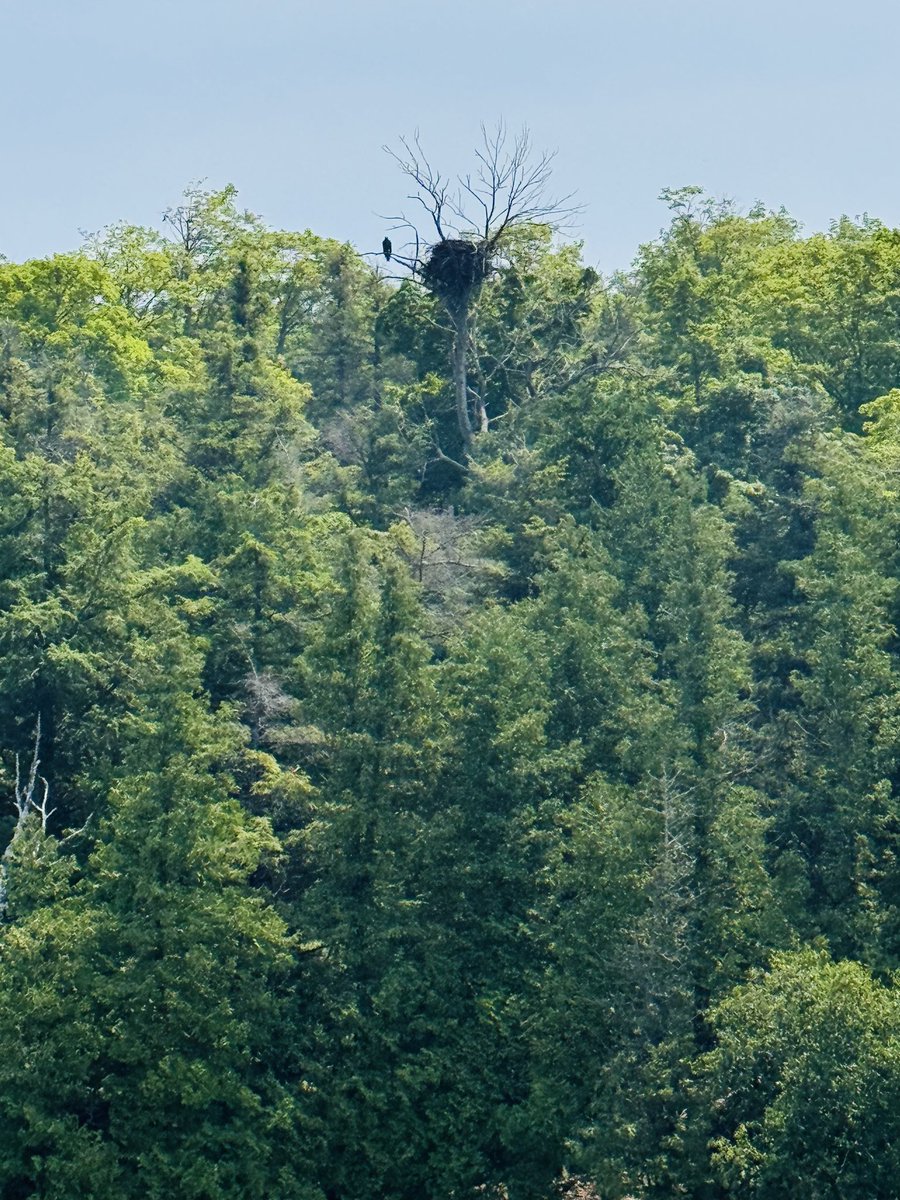 Lake Michigan tweet media