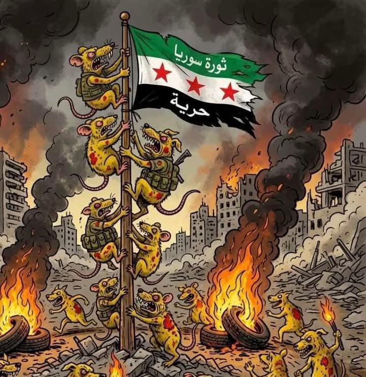 مراسل الشرقية الرسمي tweet media