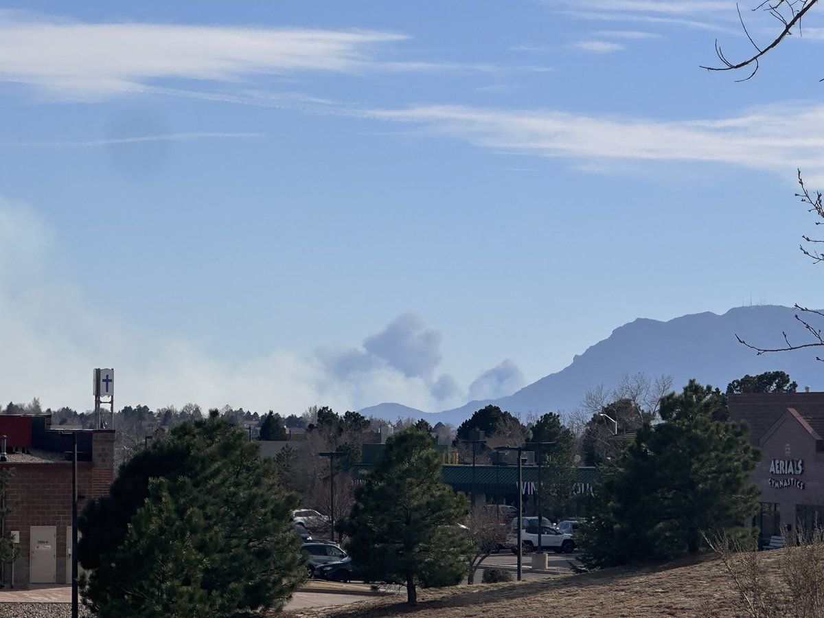 Molly McK tweet media