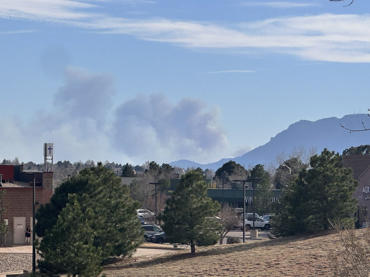 Molly McK tweet media