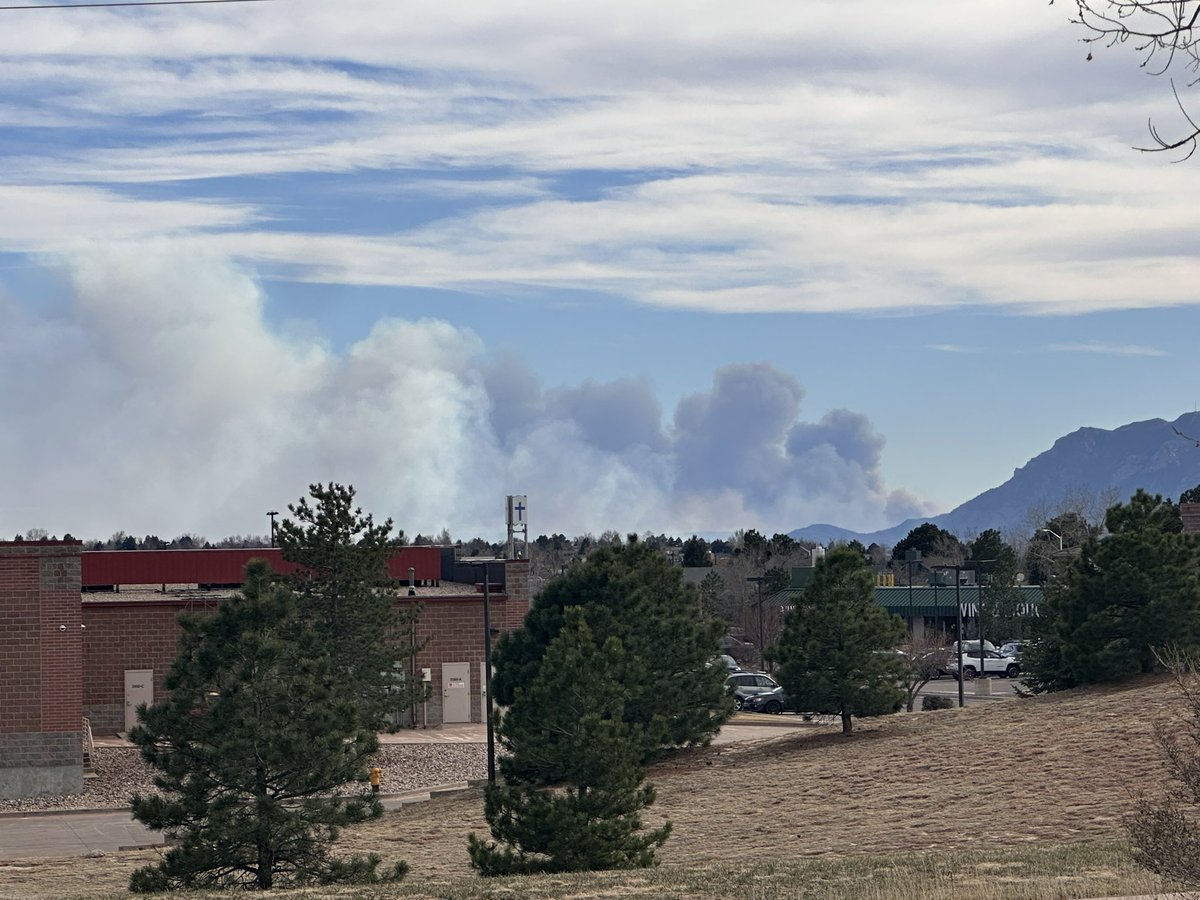 Molly McK tweet media