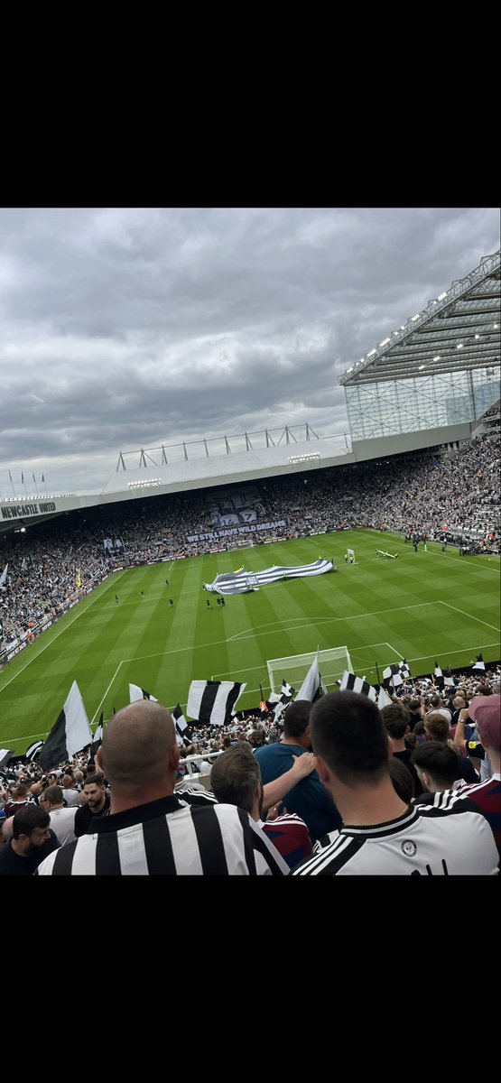 stev jay tweet media