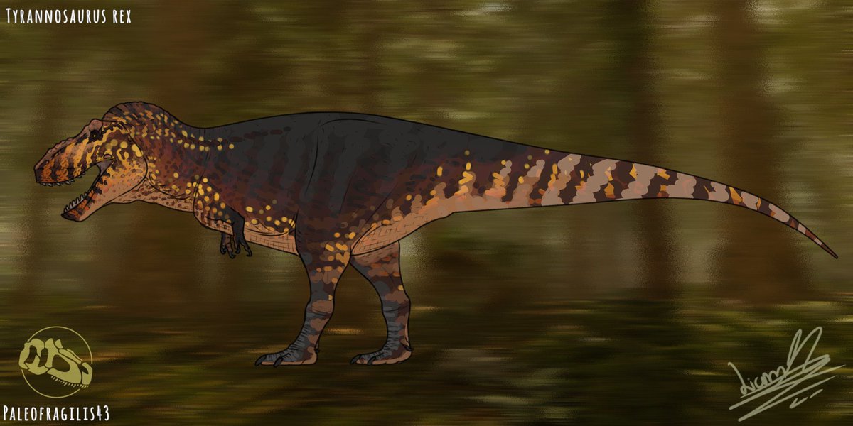 PaleoFragilis43 (open commissions) tweet media