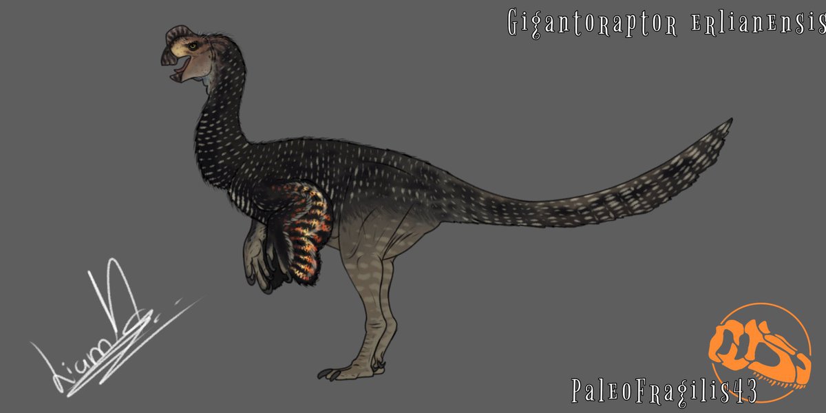 PaleoFragilis43 (open commissions) tweet media