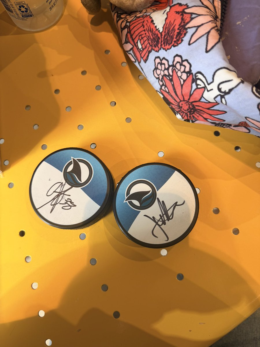 rosse is seeing ari ☼｡˚❀ * ꕤ tweet media