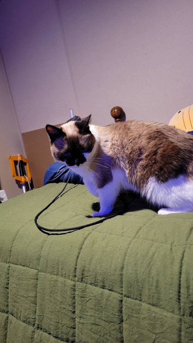 Xavier Mcgurk tweet media