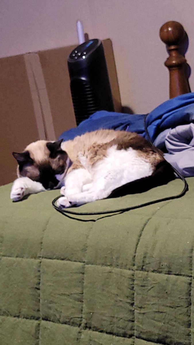 Xavier Mcgurk tweet media