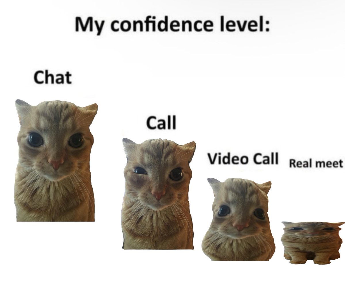 GaK (@gakstercat) on Twitter photo 