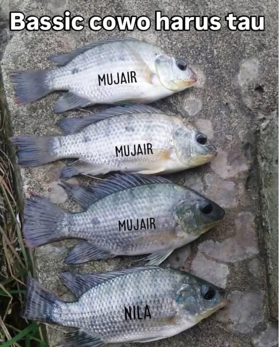 Ketawa itu GRATIS 🛩 tweet media