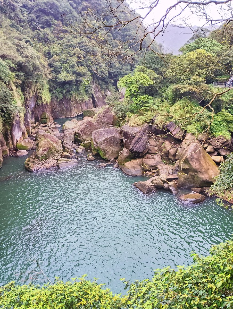 SUZUKI (ノリオ) tweet media